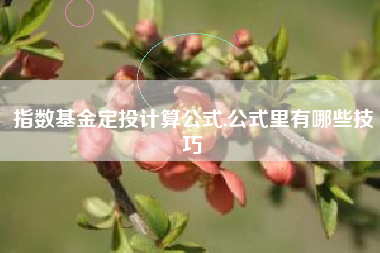 指数基金定投计算公式,公式里有哪些技巧