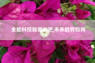 金能科技股票股吧,未来趋势如何