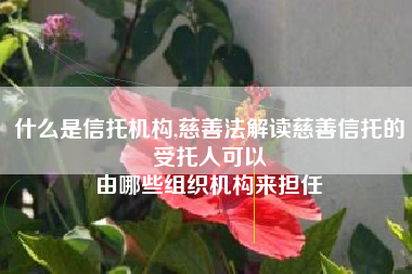 什么是信托机构,慈善法解读慈善信托的受托人可以
由哪些组织机构来担任 什么是信托机构,慈善法解读慈善信托的受托人可以
由哪些组织机构来担任