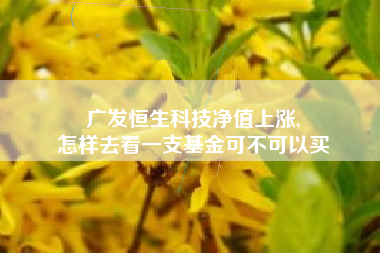 广发恒生科技净值上涨,
怎样去看一支基金可不可以买