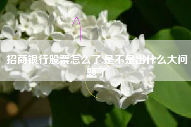 招商银行股票怎么了,是不是出什么大问题了