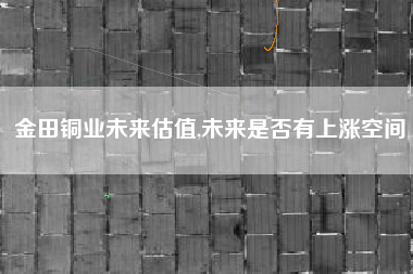 金田铜业未来估值,未来是否有上涨空间