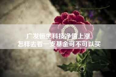 广发恒生科技净值上涨,
怎样去看一支基金可不可以买