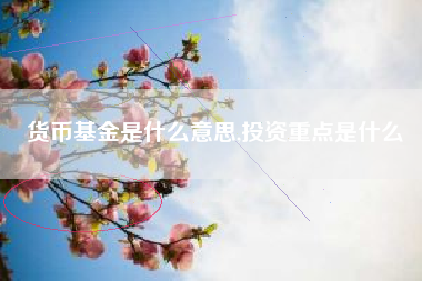 货币基金是什么意思,投资重点是什么