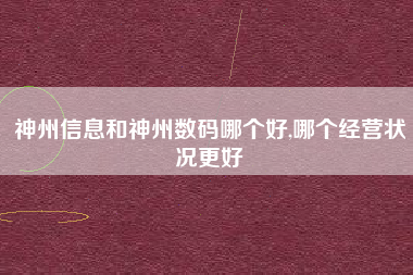神州信息和神州数码哪个好,哪个经营状况更好