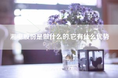 湘电股份是做什么的,它有什么优势