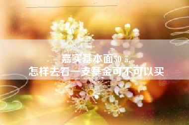 嘉实基本面50 a,
怎样去看一支基金可不可以买
