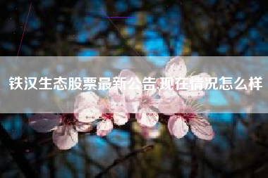 铁汉生态股票最新公告,现在情况怎么样