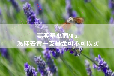 嘉实基本面50 a,
怎样去看一支基金可不可以买