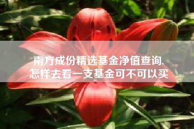 南方成份精选基金净值查询,
怎样去看一支基金可不可以买