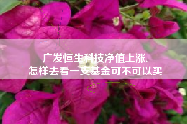 广发恒生科技净值上涨,
怎样去看一支基金可不可以买