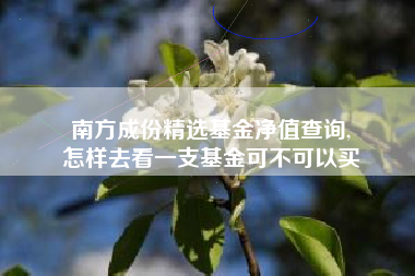 南方成份精选基金净值查询,
怎样去看一支基金可不可以买