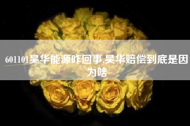 601101昊华能源咋回事,昊华赔偿到底是因为啥