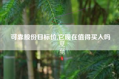 可靠股份目标价,它现在值得买入吗