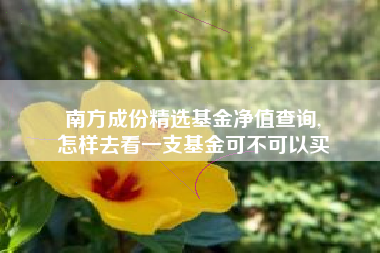 南方成份精选基金净值查询,
怎样去看一支基金可不可以买