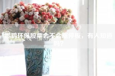 鹏鹞环保股票会不会涨停板，有人知道吗？