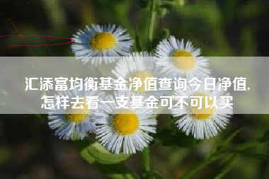 汇添富均衡基金净值查询今日净值,
怎样去看一支基金可不可以买