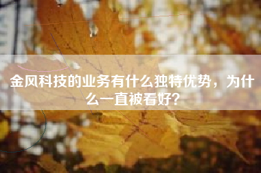 金风科技的业务有什么独特优势，为什么一直被看好？