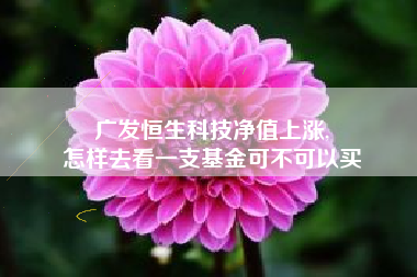 广发恒生科技净值上涨,
怎样去看一支基金可不可以买