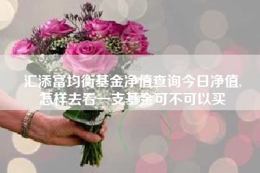 汇添富均衡基金净值查询今日净值,
怎样去看一支基金可不可以买