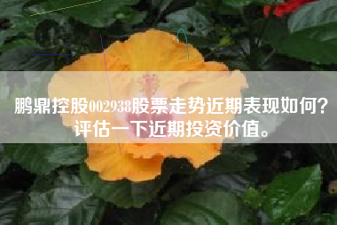 鹏鼎控股002938股票走势近期表现如何？评估一下近期投资价值。