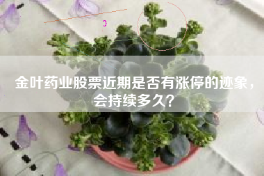 金叶药业股票近期是否有涨停的迹象，会持续多久？