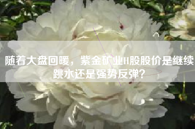随着大盘回暖，紫金矿业H股股价是继续跳水还是强势反弹？