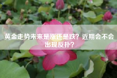 黄金走势未来是涨还是跌？近期会不会出现反扑？