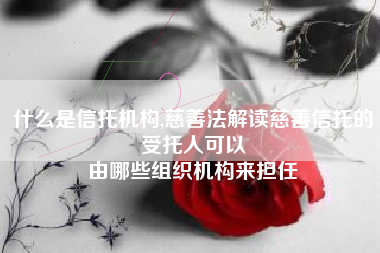 什么是信托机构,慈善法解读慈善信托的受托人可以
由哪些组织机构来担任 什么是信托机构,慈善法解读慈善信托的受托人可以
由哪些组织机构来担任