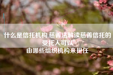 什么是信托机构,慈善法解读慈善信托的受托人可以
由哪些组织机构来担任 什么是信托机构,慈善法解读慈善信托的受托人可以
由哪些组织机构来担任