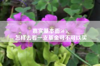 嘉实基本面50 a,
怎样去看一支基金可不可以买