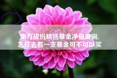 南方成份精选基金净值查询,
怎样去看一支基金可不可以买