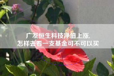 广发恒生科技净值上涨,
怎样去看一支基金可不可以买