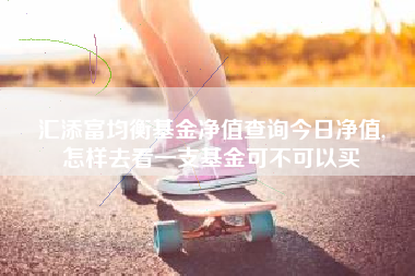 汇添富均衡基金净值查询今日净值,
怎样去看一支基金可不可以买