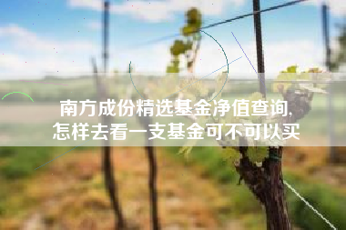 南方成份精选基金净值查询,
怎样去看一支基金可不可以买