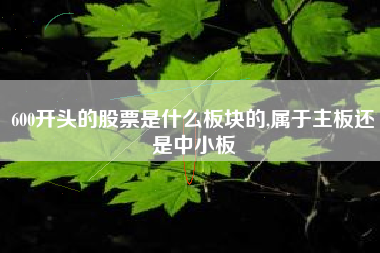 600开头的股票是什么板块的,属于主板还是中小板