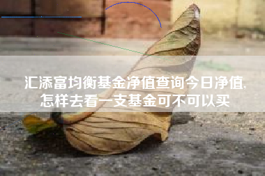 汇添富均衡基金净值查询今日净值,
怎样去看一支基金可不可以买