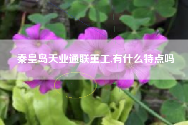 秦皇岛天业通联重工,有什么特点吗