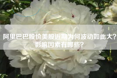 阿里巴巴股价美股近期为何波动如此大?影响因素有哪些?