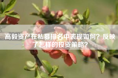 高毅资产在私募排名中表现如何？反映了怎样的投资策略？
