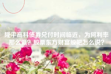 隆平高科债券兑付时间临近，为何利率那么低？股票东方财富股吧怎么说？