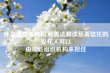 什么是信托机构,慈善法解读慈善信托的受托人可以
由哪些组织机构来担任 什么是信托机构,慈善法解读慈善信托的受托人可以
由哪些组织机构来担任