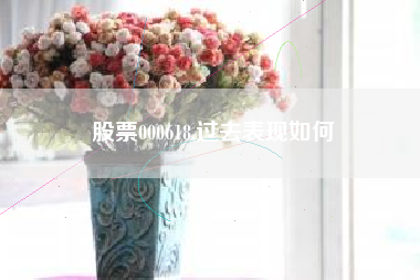股票000618,过去表现如何