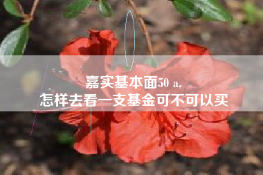 嘉实基本面50 a,
怎样去看一支基金可不可以买