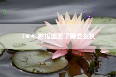 300995,财报透露了哪些玄机