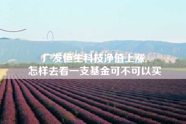 广发恒生科技净值上涨,
怎样去看一支基金可不可以买