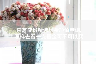 南方成份精选基金净值查询,
怎样去看一支基金可不可以买