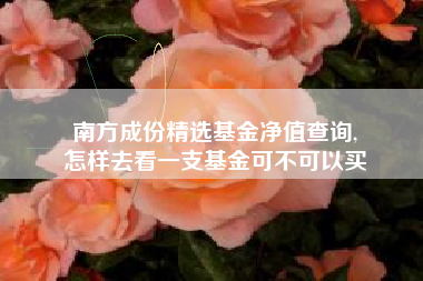 南方成份精选基金净值查询,
怎样去看一支基金可不可以买