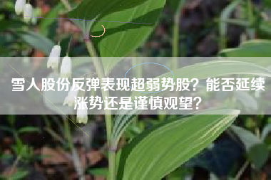 雪人股份反弹表现超弱势股?能否延续涨势还是谨慎观望?