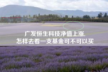 广发恒生科技净值上涨,
怎样去看一支基金可不可以买